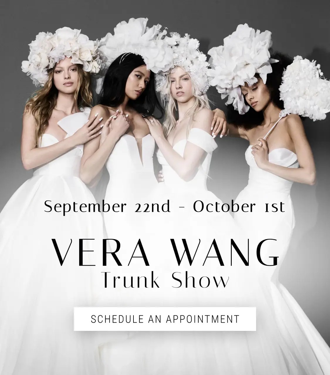 Vera Wang Trunk Show Banner for Mobile