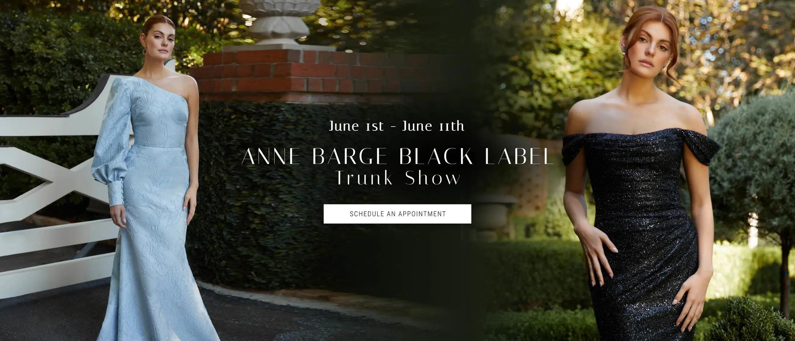 Black Label by Anne Barge Trunk Show Banner for desktop
