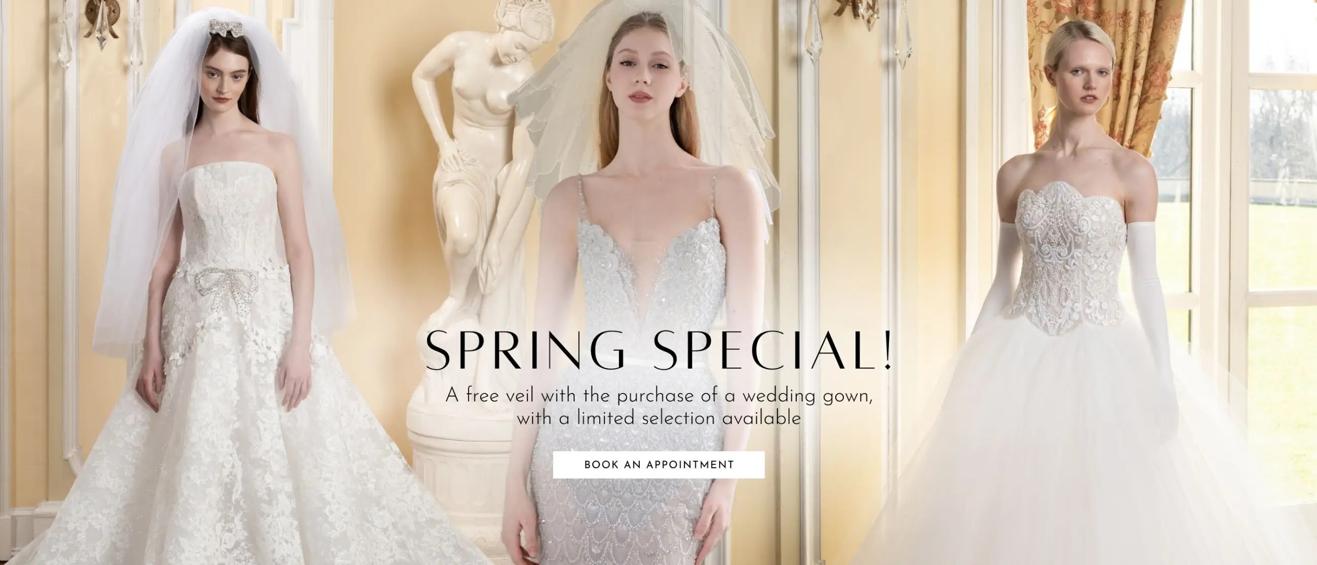 Spring Special Desktop Banner