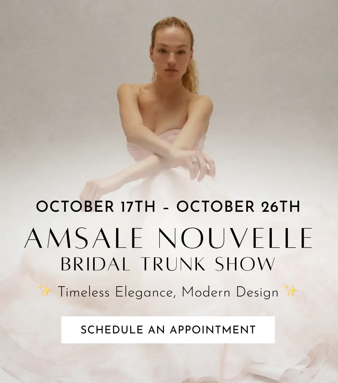 Amsale Nouvelle Bridal Trunk Show Mobile Banner