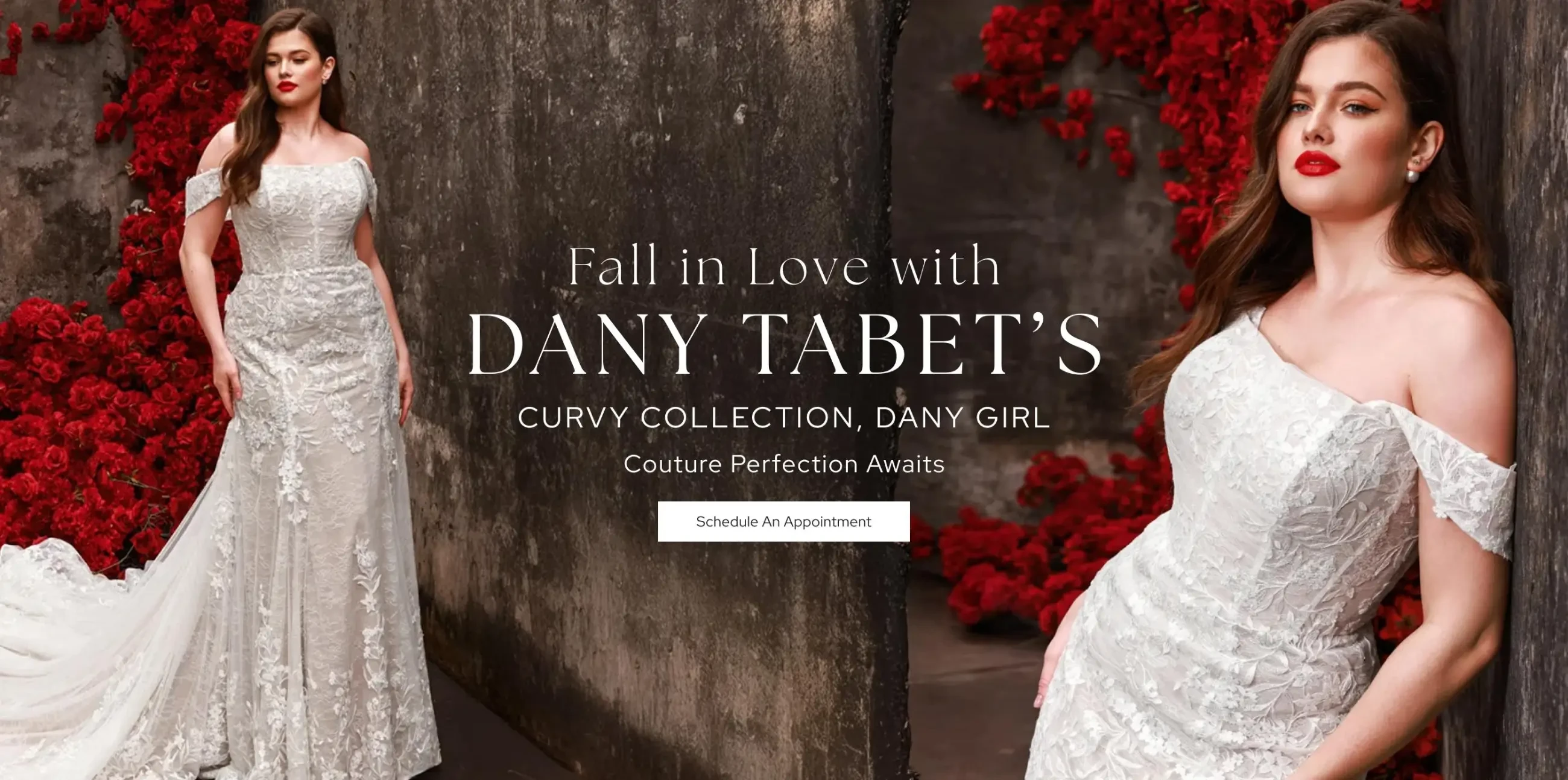 Dany Tabet Desktop Banner