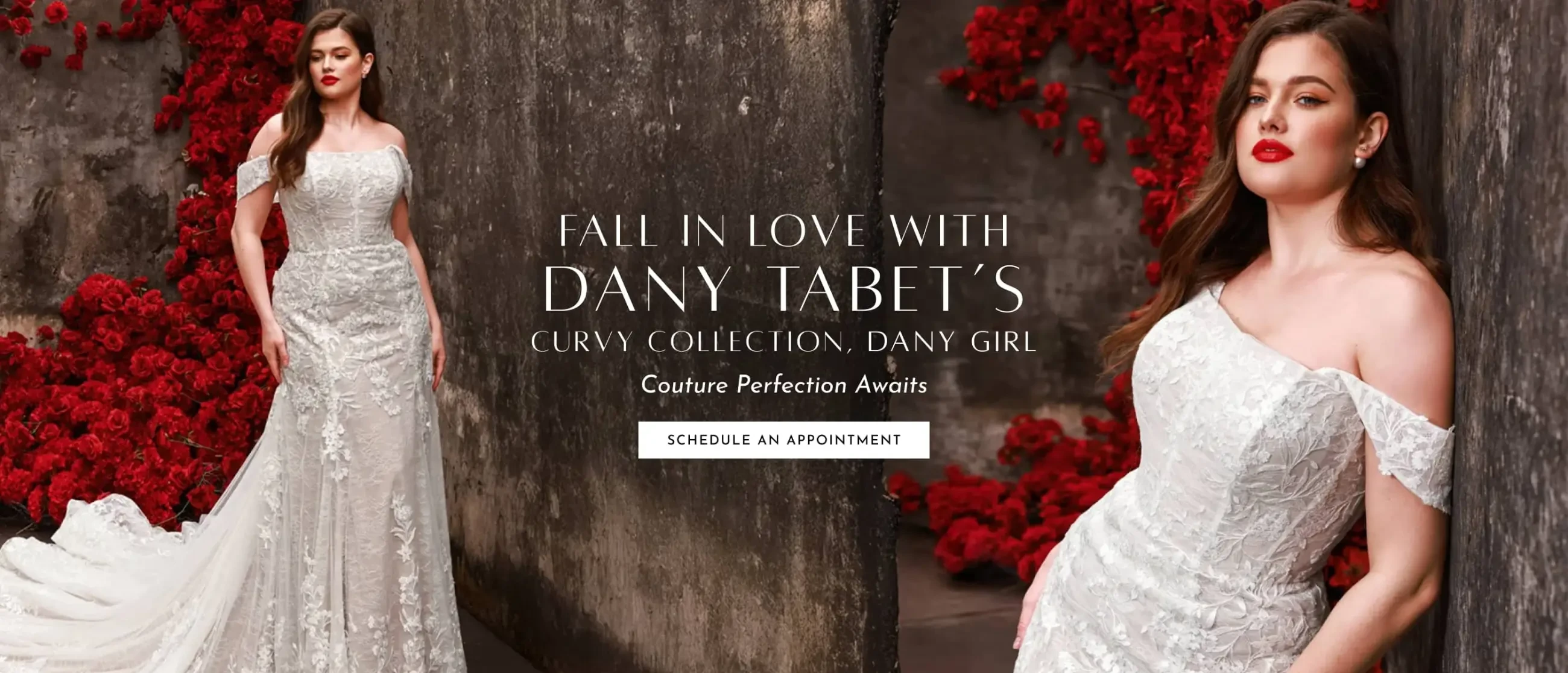 Dany Tabet Desktop Banner